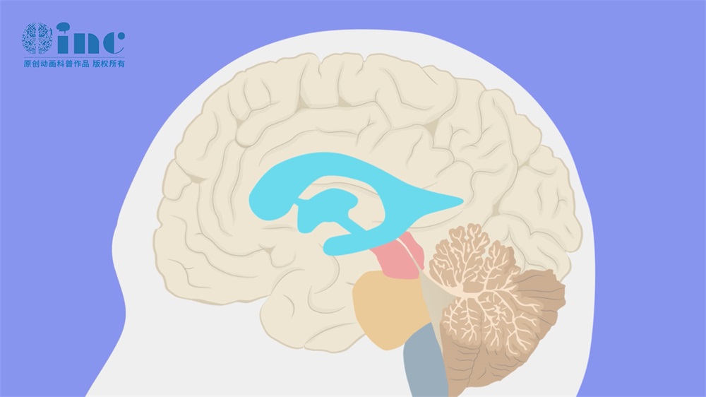 BNCT适用人群筛选标准