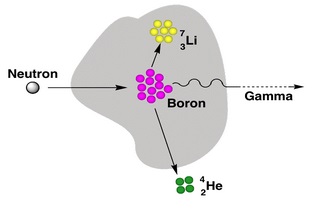 硼中子俘获疗法（BNCT）如何一步步清除脑肿瘤？