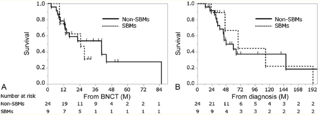 硼中子俘获治疗（BNCT）