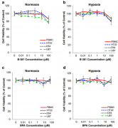 用于治疗胶质瘤的低氧靶向硼中子捕获治疗剂分析